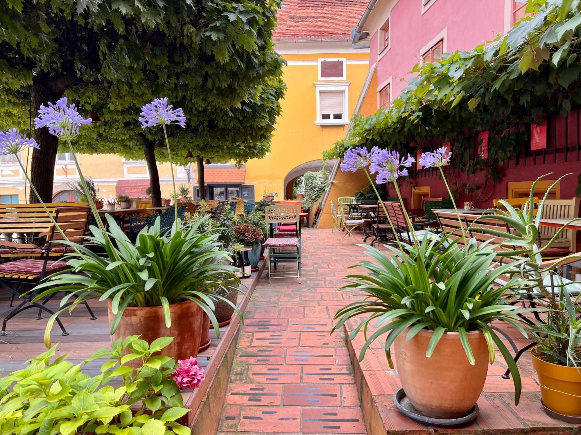 Muzikafe - Home Of Culture Ptuj Exterior photo